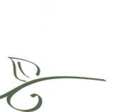 A white 8th Street at the Ivy logo with transparent background